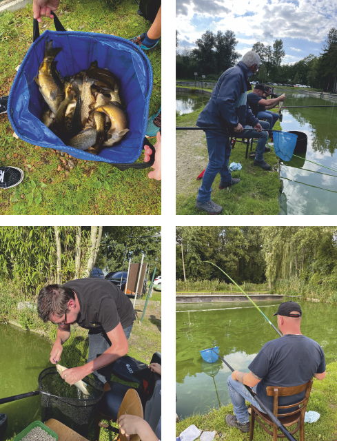 visnamiddag